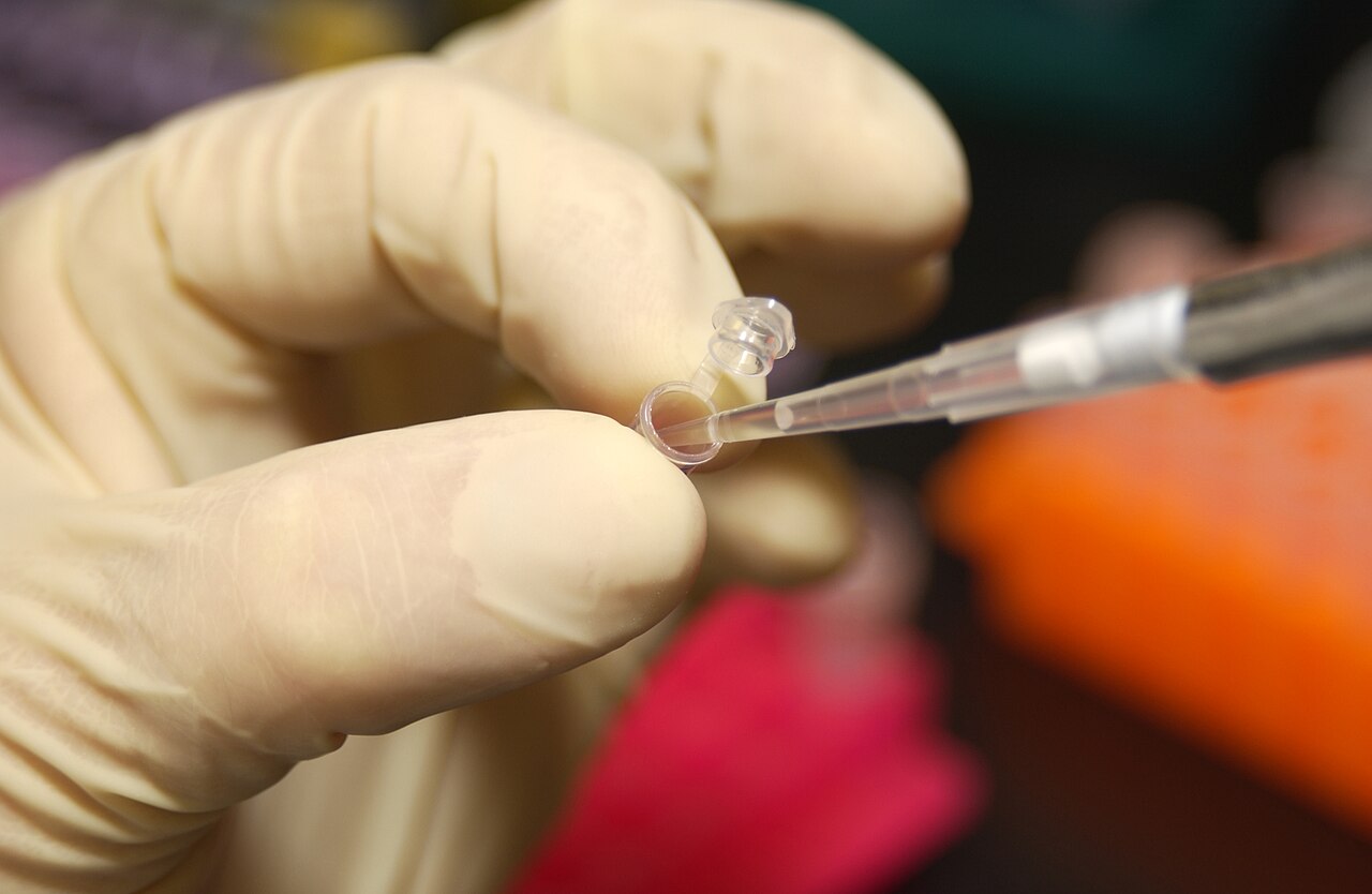 Laboratory scene illustrating peptide research from Immunopharmacology and immunotoxicology