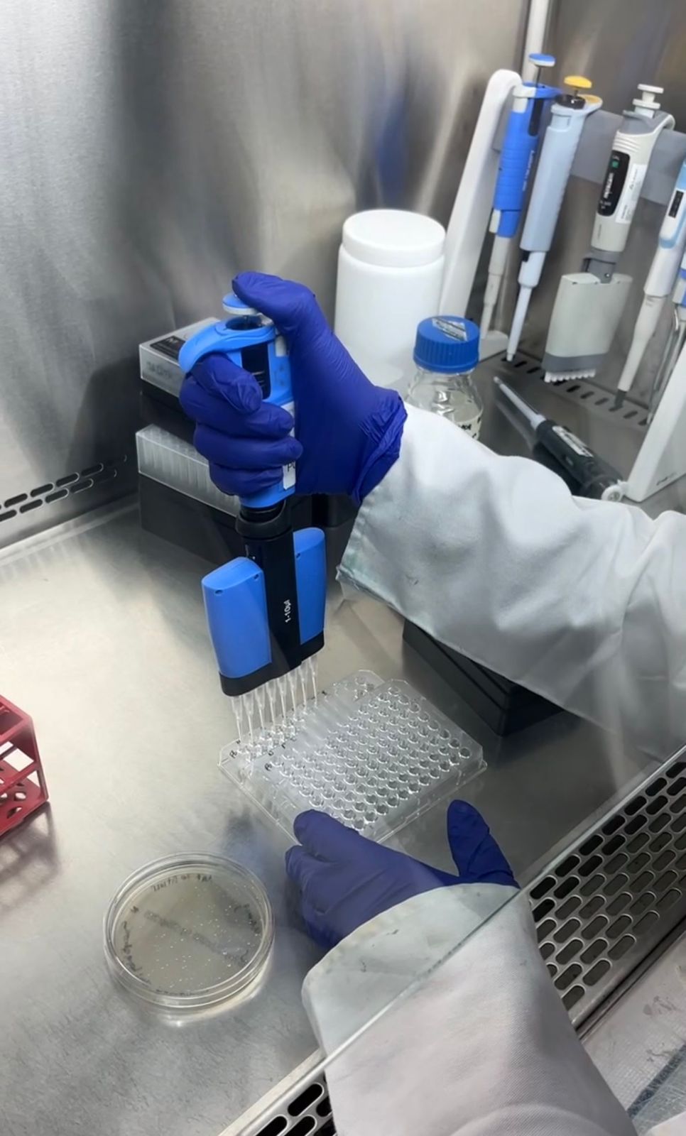 Laboratory scene illustrating GLP-2: The Intestinal Growth Factor in Metabolic Research