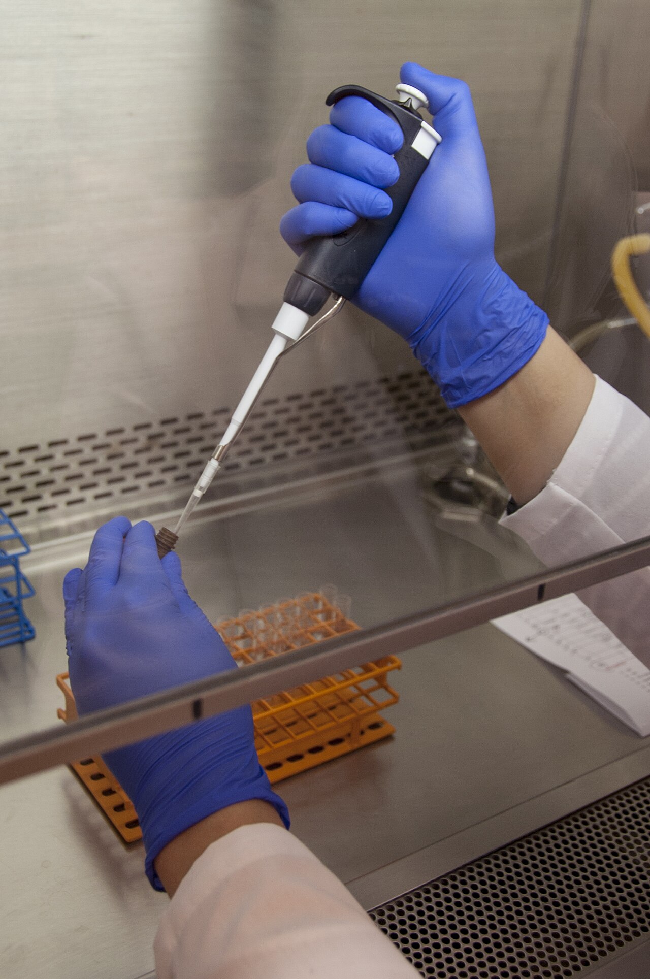 Laboratory scene illustrating peptide research from Molecular metabolism