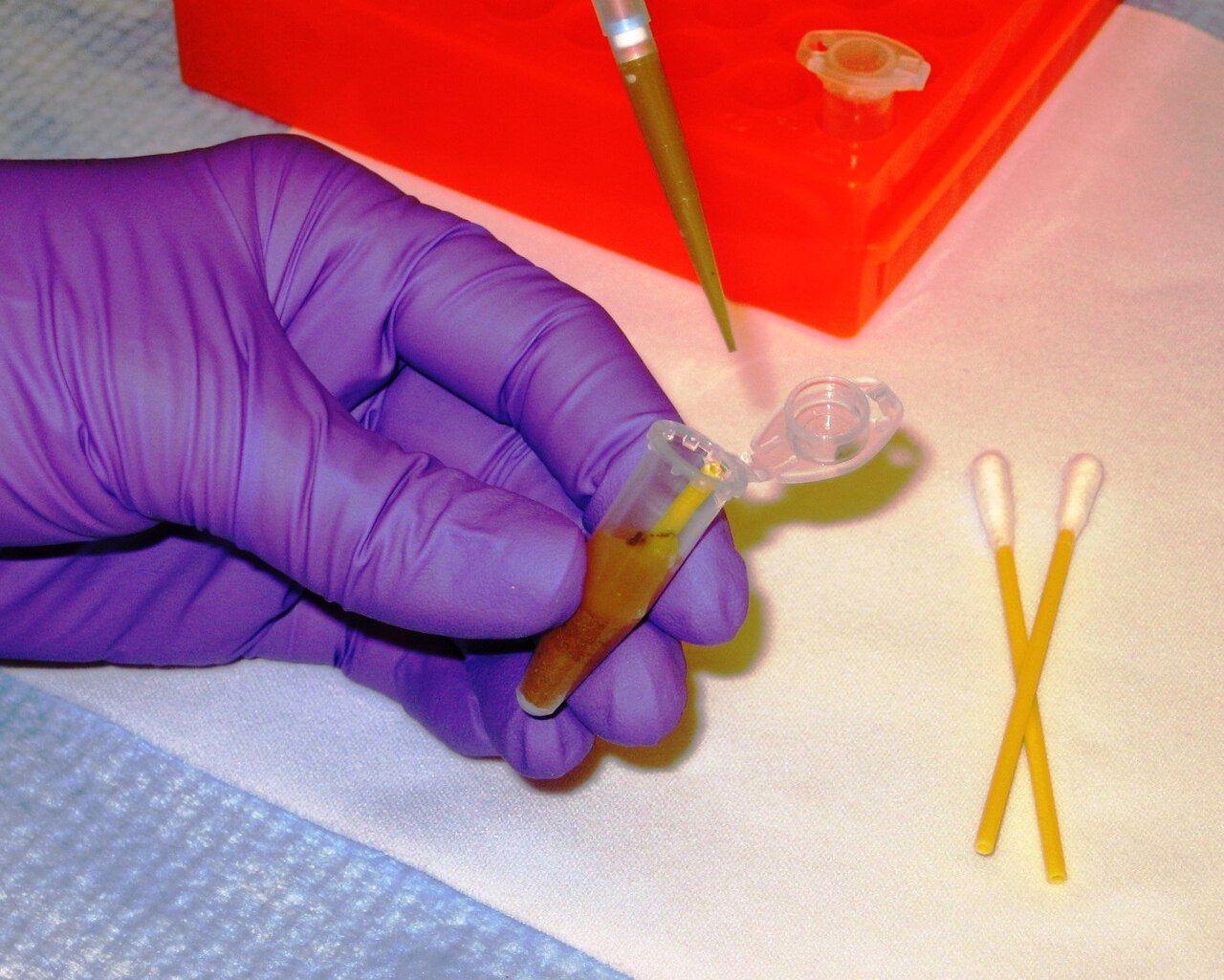 Laboratory scene illustrating Understanding CAS Numbers in Peptide Research